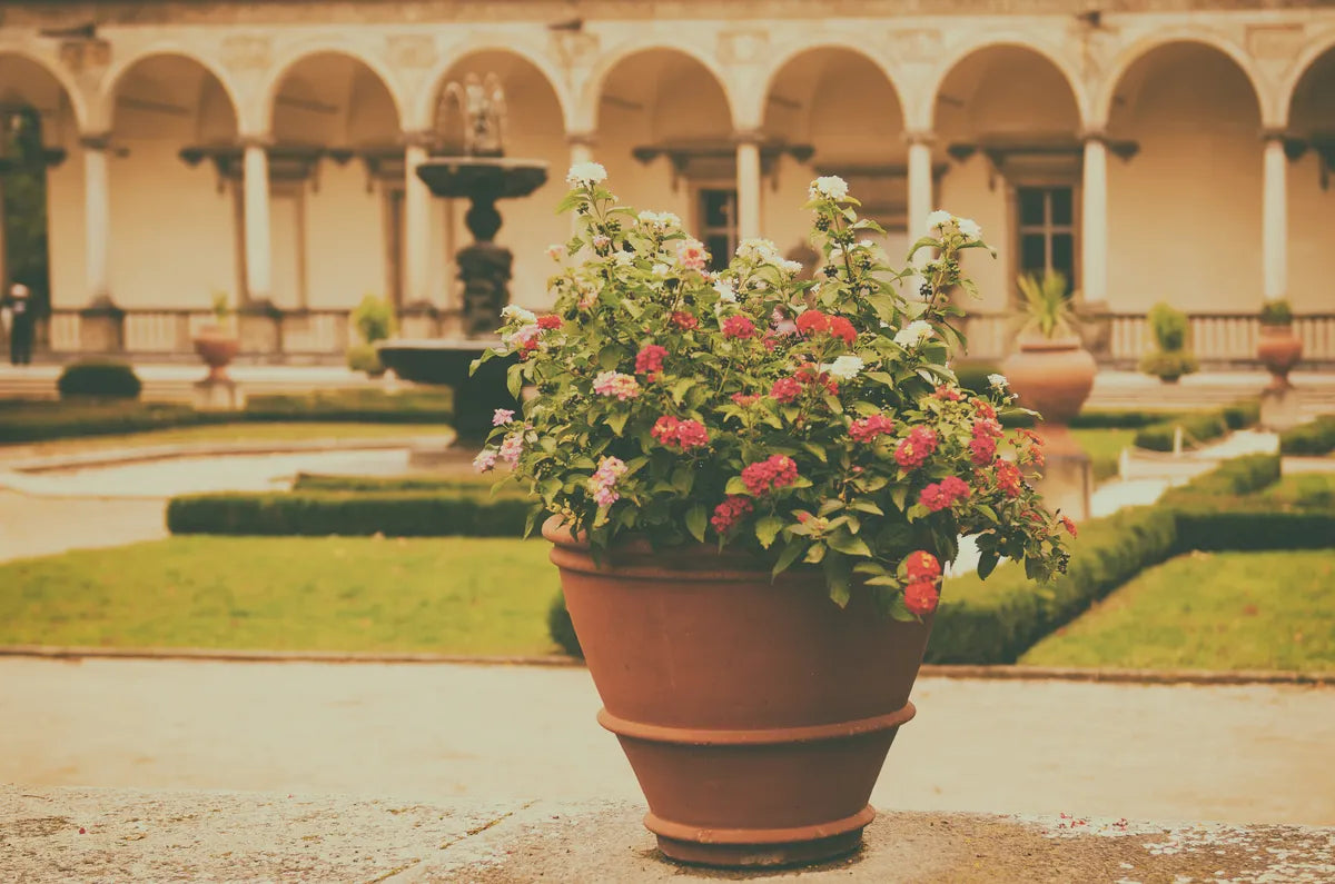 Ein großer Blumentopf: Ein Must-have für Ihre Pflanzenpracht