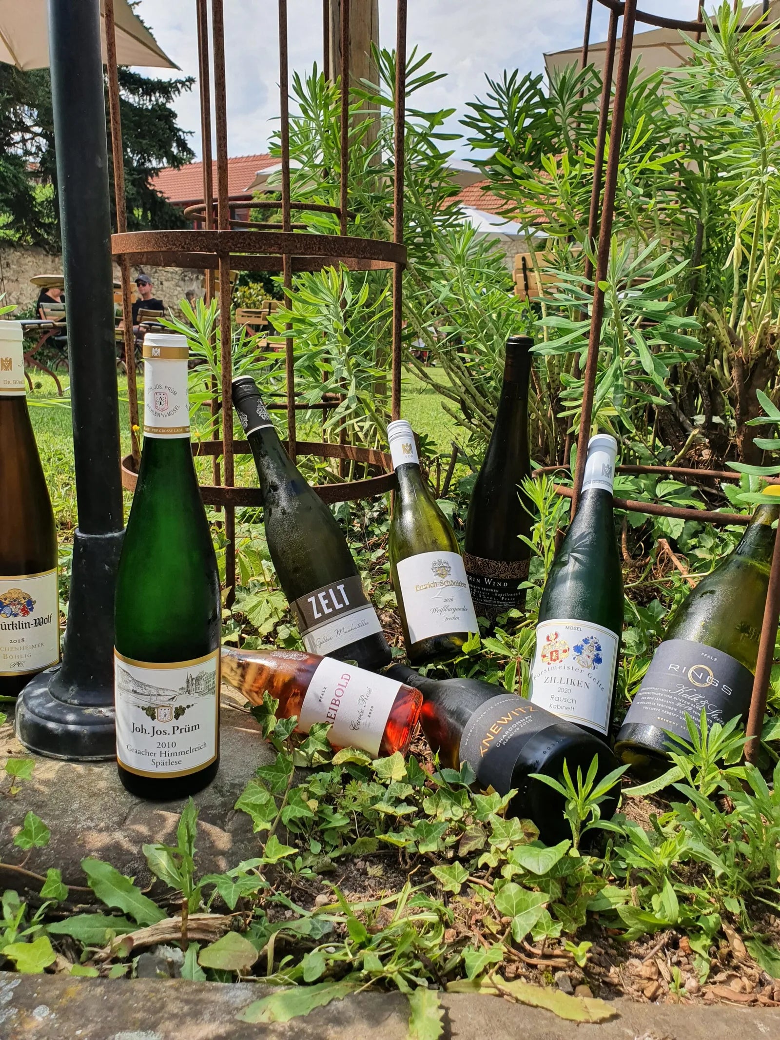 Ausgewählte Weinflaschen im Garten der Palatina Weinbar